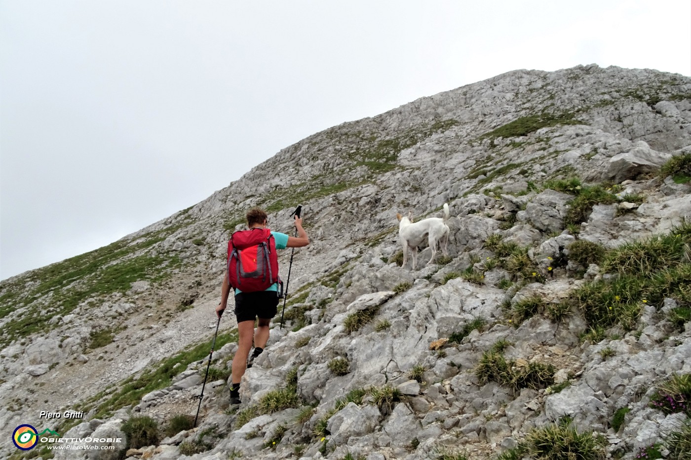 66 Saliamo su traccia  tra roccette a Cima Arera or..JPG
